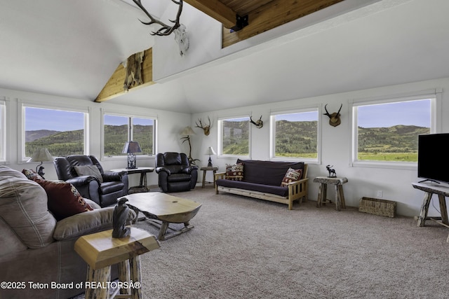 7585 S Squaw Creek Rd, Jackson, WY 83001 - photo 12