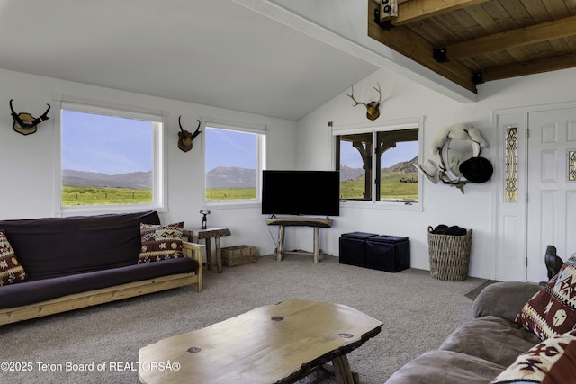 7585 S Squaw Creek Rd, Jackson, WY 83001 - photo 13