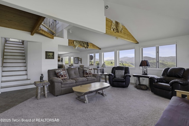 7585 S Squaw Creek Rd, Jackson, WY 83001 - photo 15