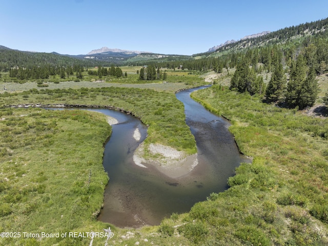 5 Juniper Dr, Dubois, WY 82513 - photo 33