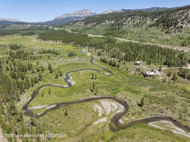 5 Juniper Dr, Dubois, WY 82513 - photo 37
