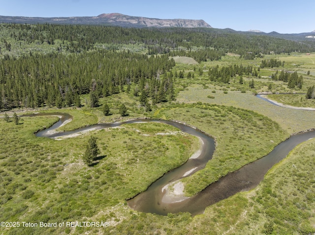 5 Juniper Dr, Dubois, WY 82513 - photo 40