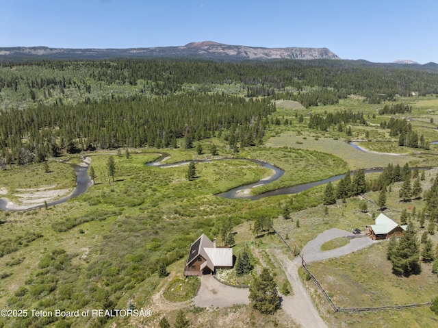 5 Juniper Dr, Dubois, WY 82513 - photo 43