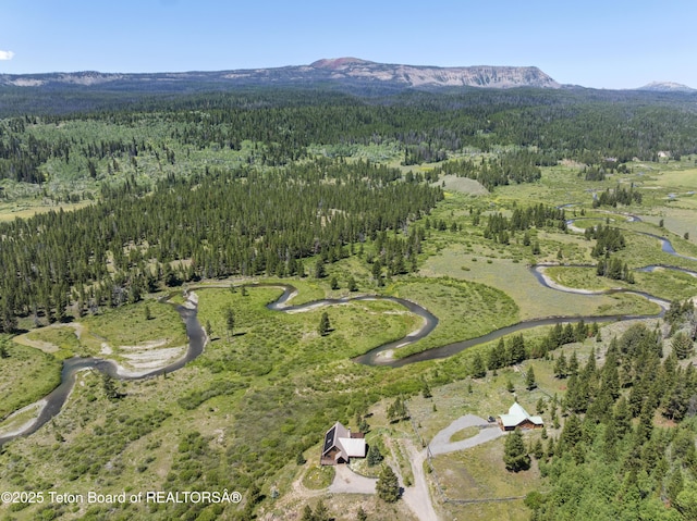 5 Juniper Dr, Dubois, WY 82513 - photo 45