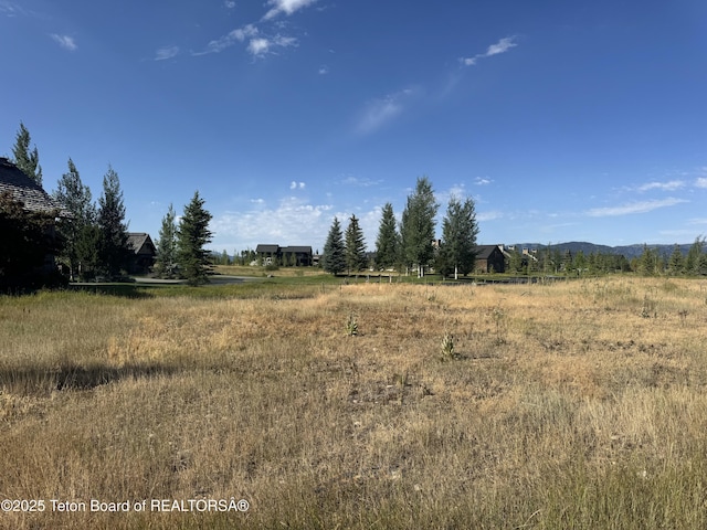 910 Dusty Maiden Ct, Driggs, ID 83422 - photo 10