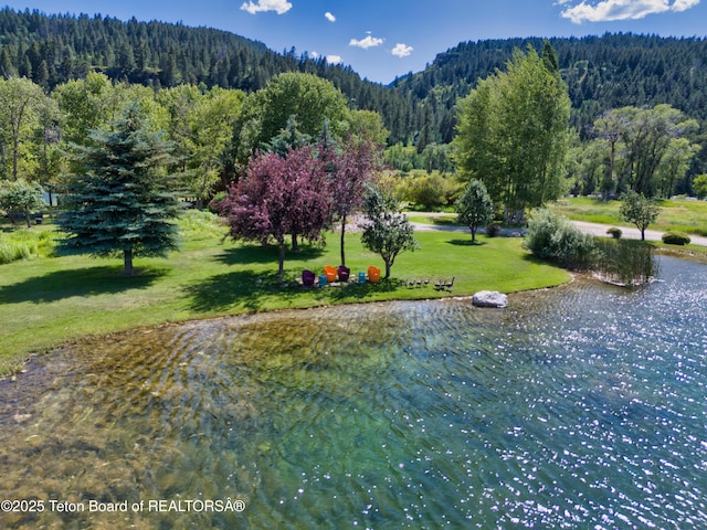 169 Raven Rd, Irwin, ID 83428 - photo 35