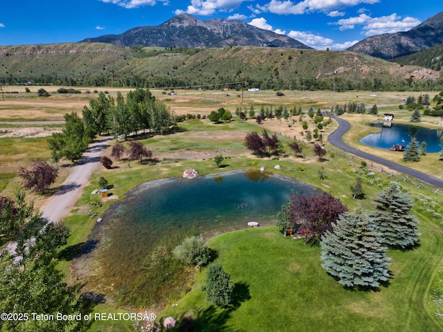 169 Raven Rd, Irwin, ID 83428 - photo 37