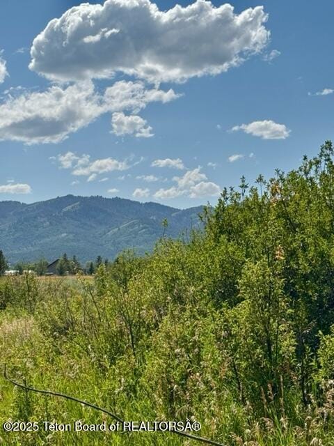 7757 Spoon Creek Dr, Victor, ID 83455 - photo 2