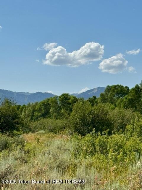 7757 Spoon Creek Dr, Victor, ID 83455 - photo 3