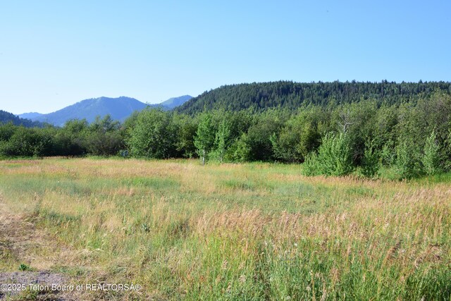 9855 S 1100 E, Victor, ID 83455 - photo 12