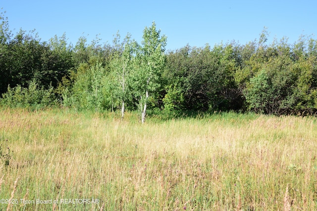 9855 S 1100 E, Victor, ID 83455 - photo 10