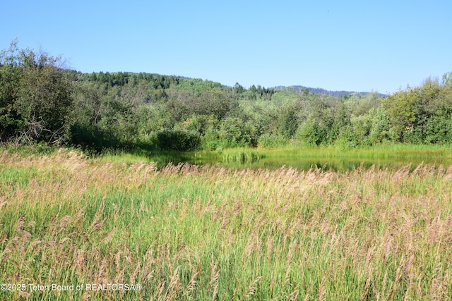 9855 S 1100 E, Victor, ID 83455 - photo 13