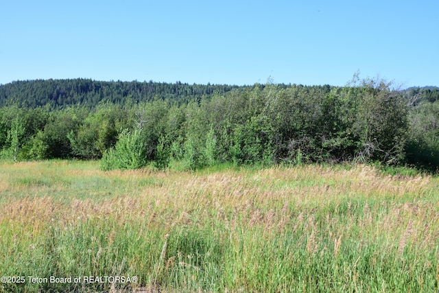 9855 S 1100 E, Victor, ID 83455 - photo 14