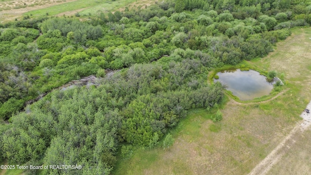 9855 S 1100 E, Victor, ID 83455 - photo 19
