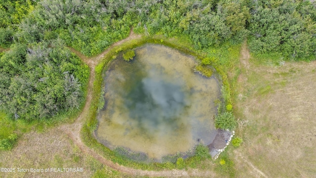 9855 S 1100 E, Victor, ID 83455 - photo 20