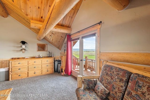 6 Jarrett Rd, Pinedale, WY 82941 - photo 17