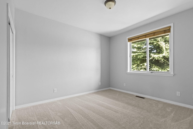 8972 Avery Dr, Victor, ID 83455 - photo 35