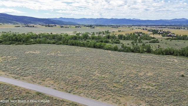 485 Lone Cowboy Rd, Driggs, ID 83422 - photo 6