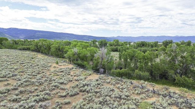 485 Lone Cowboy Rd, Driggs, ID 83422 - photo 11