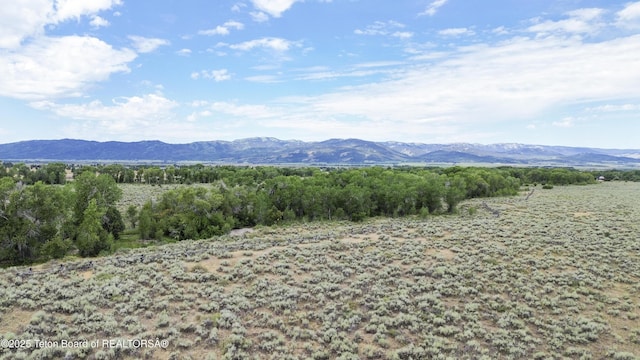 485 Lone Cowboy Rd, Driggs, ID 83422 - photo 2