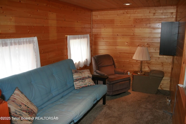 43 Muleshoe Rd, Thayne, WY 83127 - photo 3