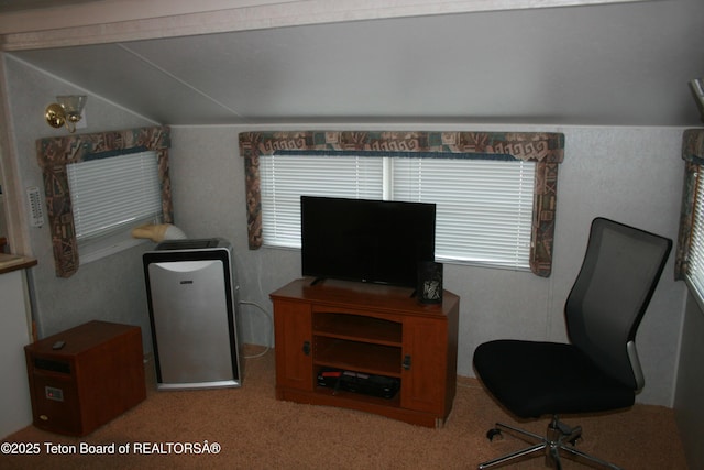 43 Muleshoe Rd, Thayne, WY 83127 - photo 7