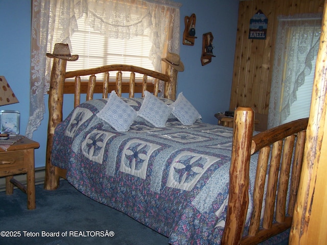 677 Agate St, Pinedale, WY 82941 - photo 7