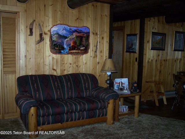 677 Agate St, Pinedale, WY 82941 - photo 27