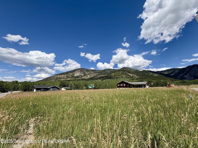 LOT41 Prater Canyon Dr, Star Valley Ranch, WY 83127 - photo 5