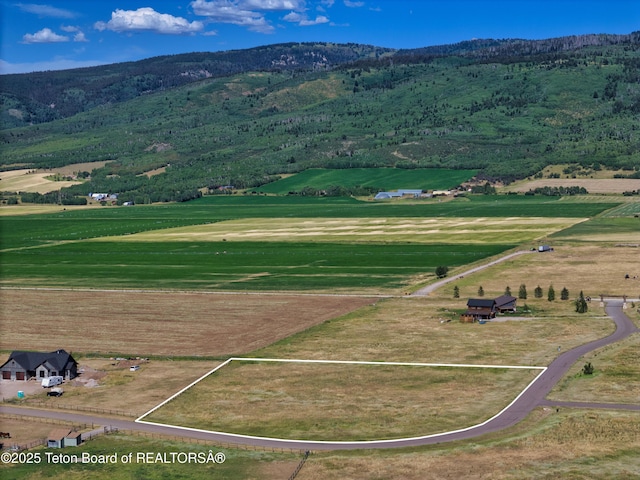 1570 Larsen Ln, Driggs, ID 83422 - photo 27