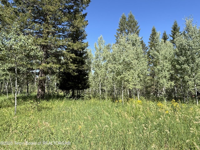 52 W Forest Dr, Star Valley Ranch, WY 83127 - photo 4