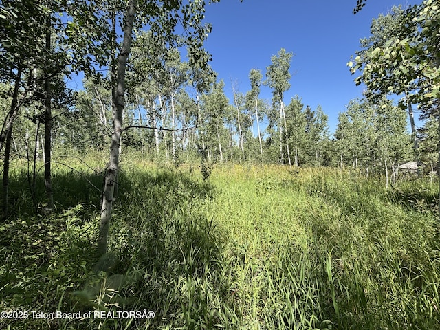 52 W Forest Dr, Star Valley Ranch, WY 83127 - photo 5