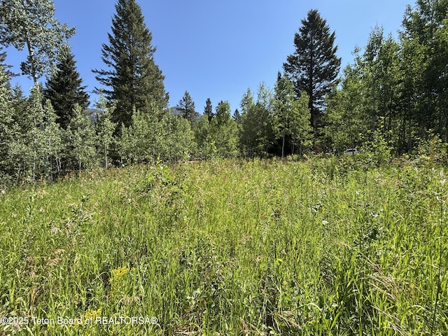52 W Forest Dr, Star Valley Ranch, WY 83127 - photo 2