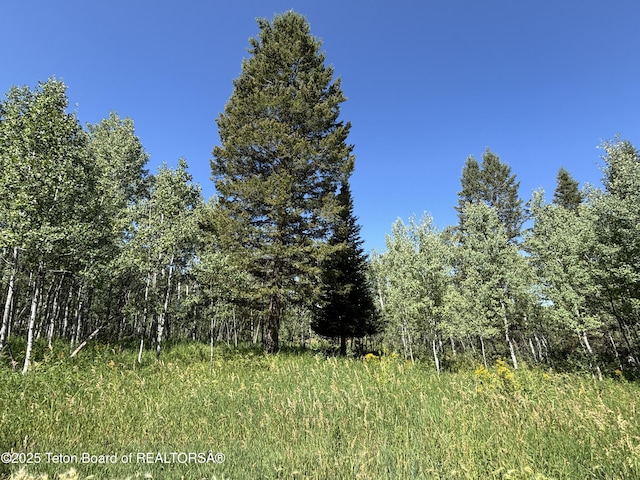 52 W Forest Dr, Star Valley Ranch, WY 83127 - photo 1