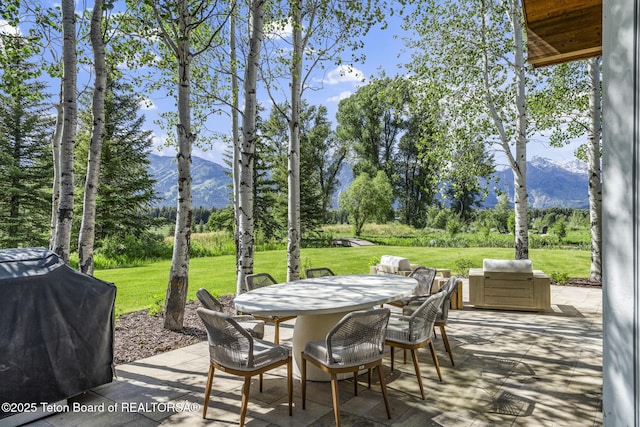 6625 N Upper Cascade Dr, Jackson, WY 83001 - photo 48