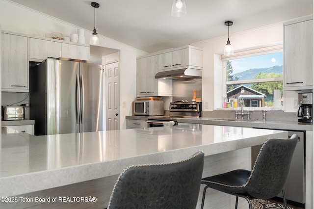 1475 N Fish Creek Rd, Wilson, WY 83014 - photo 8