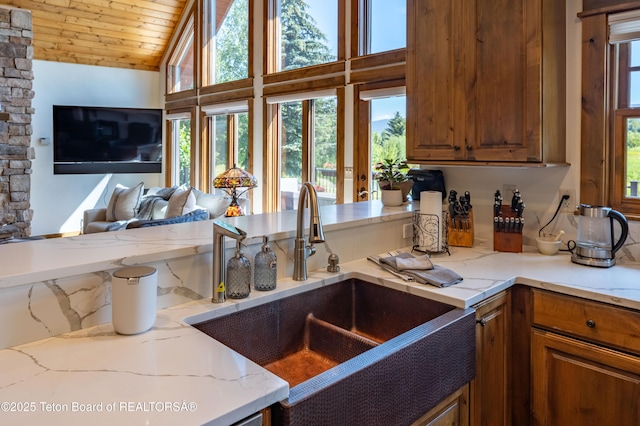 5 Cold Springs Ln, Victor, ID 83455 - photo 11