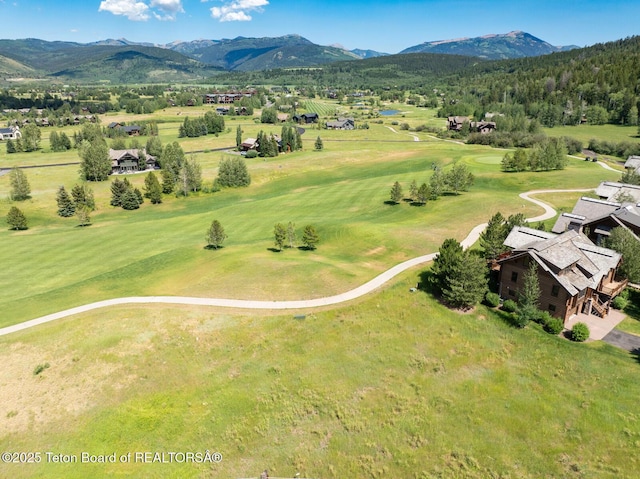 96 Blackfoot Ln, Victor, ID 83455 - photo 1