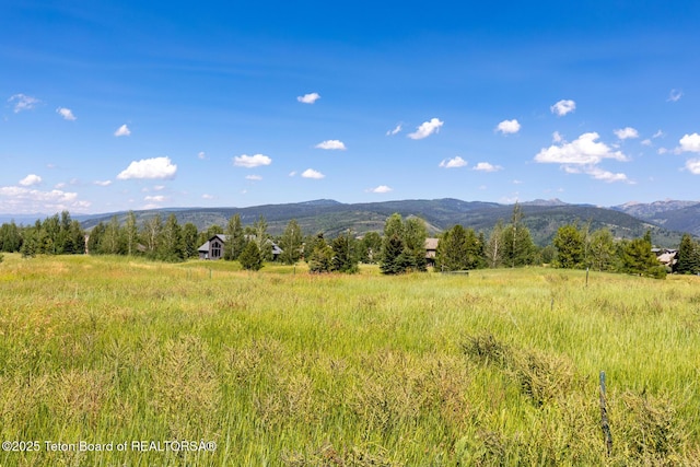 96 Blackfoot Ln, Victor, ID 83455 - photo 3