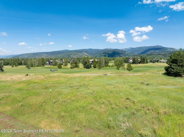 96 Blackfoot Ln, Victor, ID 83455 - photo 4