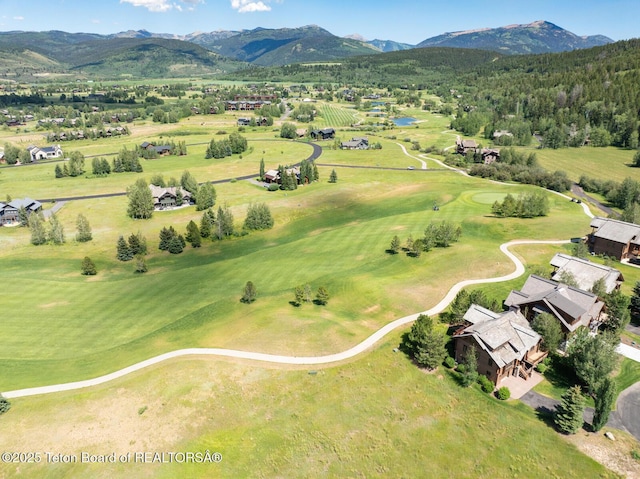 96 Blackfoot Ln, Victor, ID 83455 - photo 8