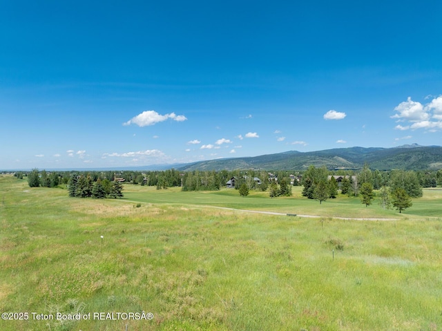 96 Blackfoot Ln, Victor, ID 83455 - photo 9