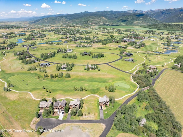 96 Blackfoot Ln, Victor, ID 83455 - photo 10