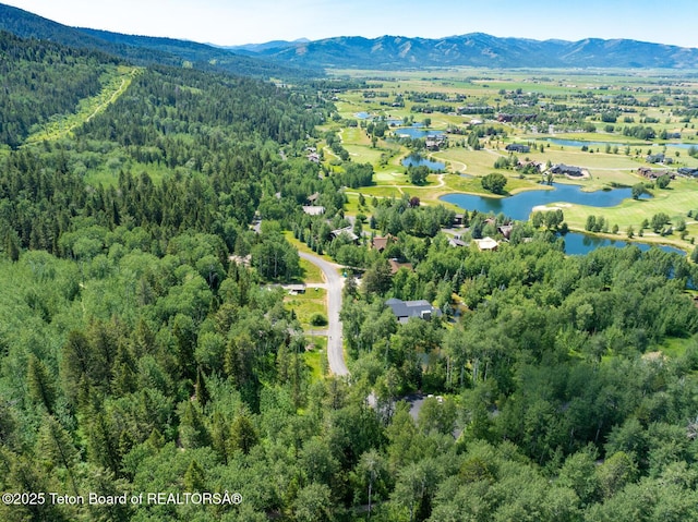 2 Blackfoot Trl, Victor, ID 83455 - photo 1