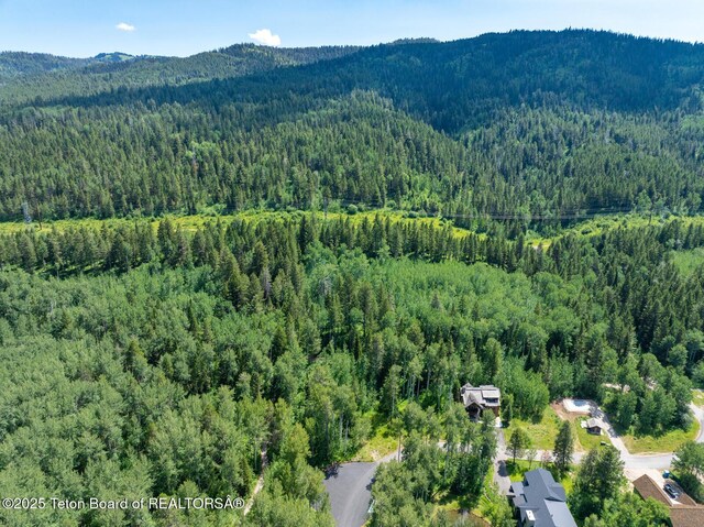 2 Blackfoot Trl, Victor, ID 83455 - photo 3