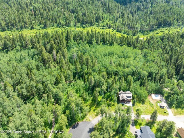 2 Blackfoot Trl, Victor, ID 83455 - photo 4