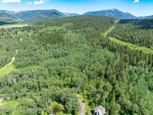 2 Blackfoot Trl, Victor, ID 83455 - photo 5