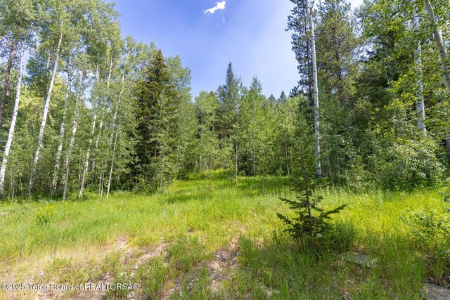 2 Blackfoot Trl, Victor, ID 83455 - photo 6