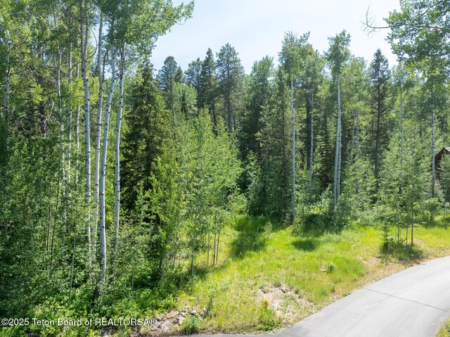 2 Blackfoot Trl, Victor, ID 83455 - photo 7
