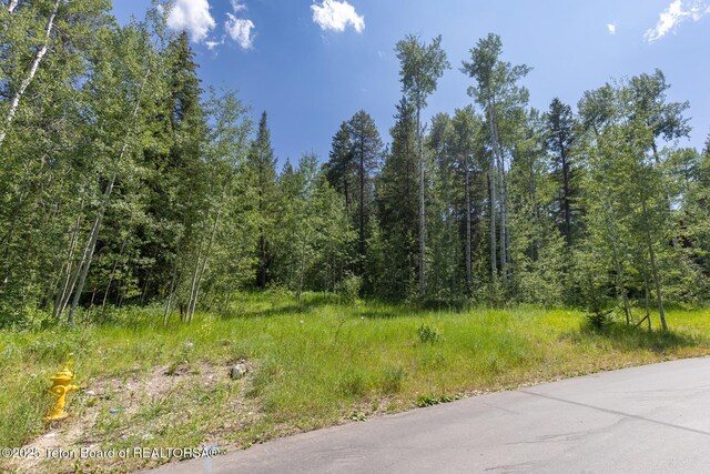 2 Blackfoot Trl, Victor, ID 83455 - photo 9